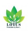 Lotus Fresh